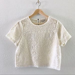 SEA Flocked Lace Top NWT